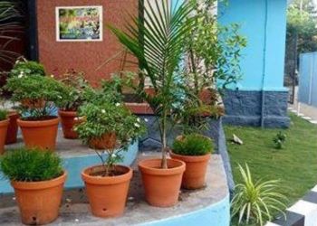 Taluk Hospital Pudukad Gardens